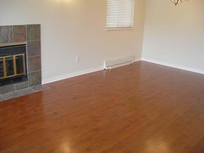 Dining Room Restoration